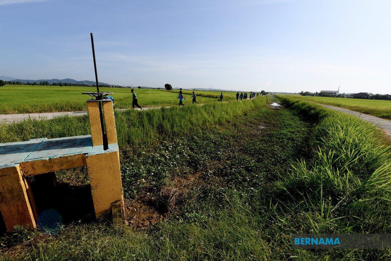 Smart Sawah Berskala Besar Bukti Lobi Korporat Berleluasa Di Kementerian Pertanian Fokus